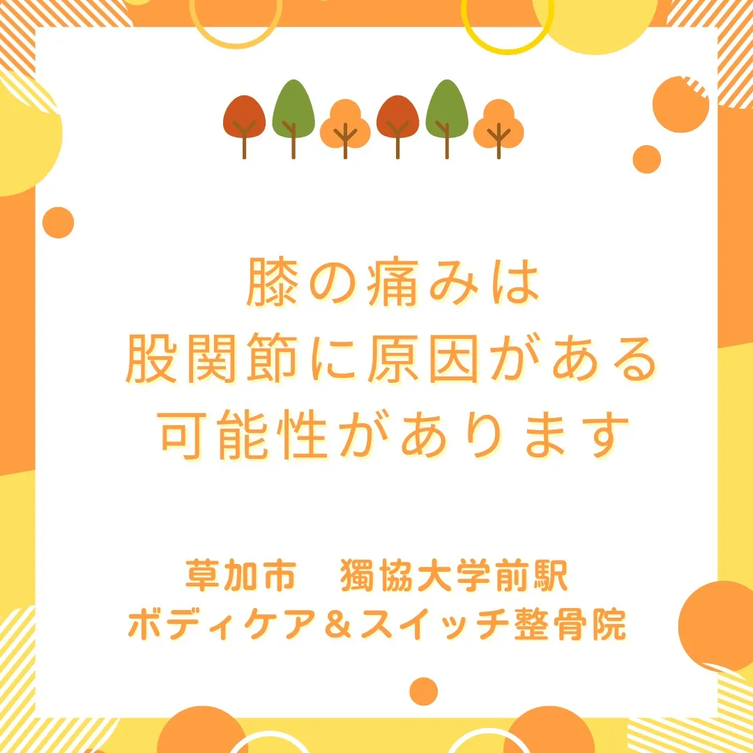膝の痛みは股関節に原因がある可能性があります。